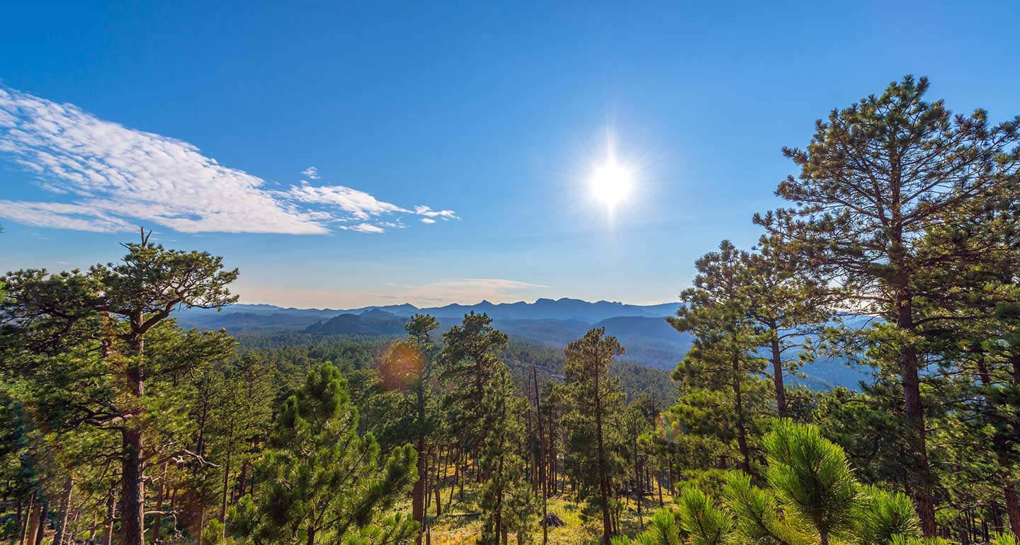 dog-friendly hikes