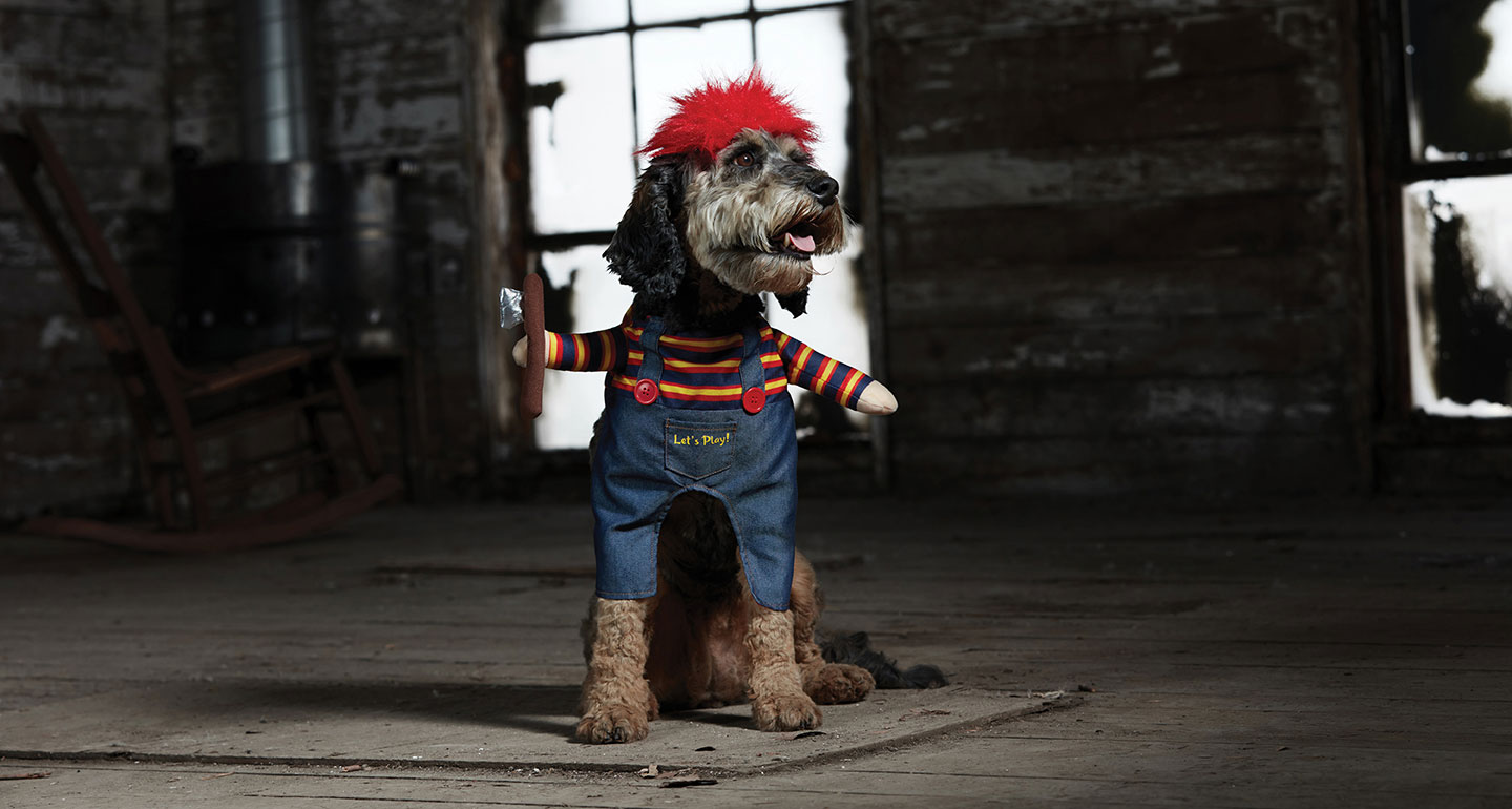Scary Dog Costumes - dog chucky costume