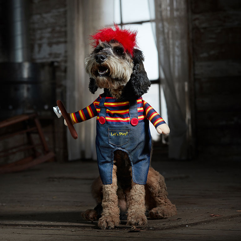 scary dog costume - dog chucky costume