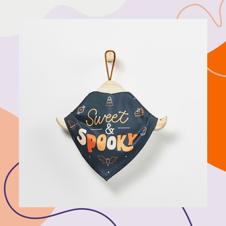 Halloween cat accessories - bandana