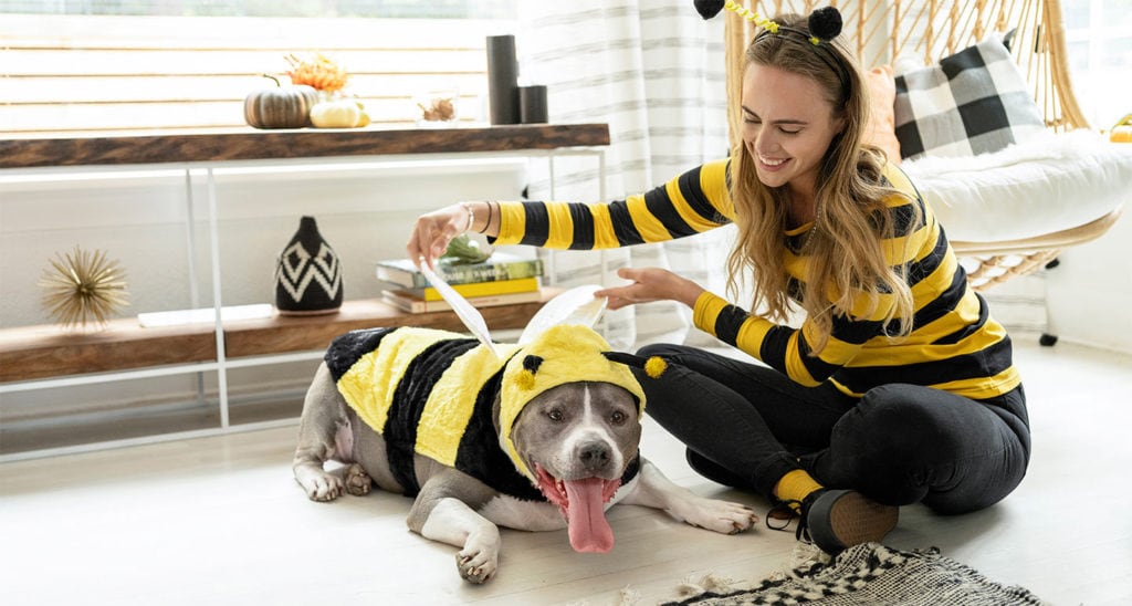 Halloween costumes for dog and owner