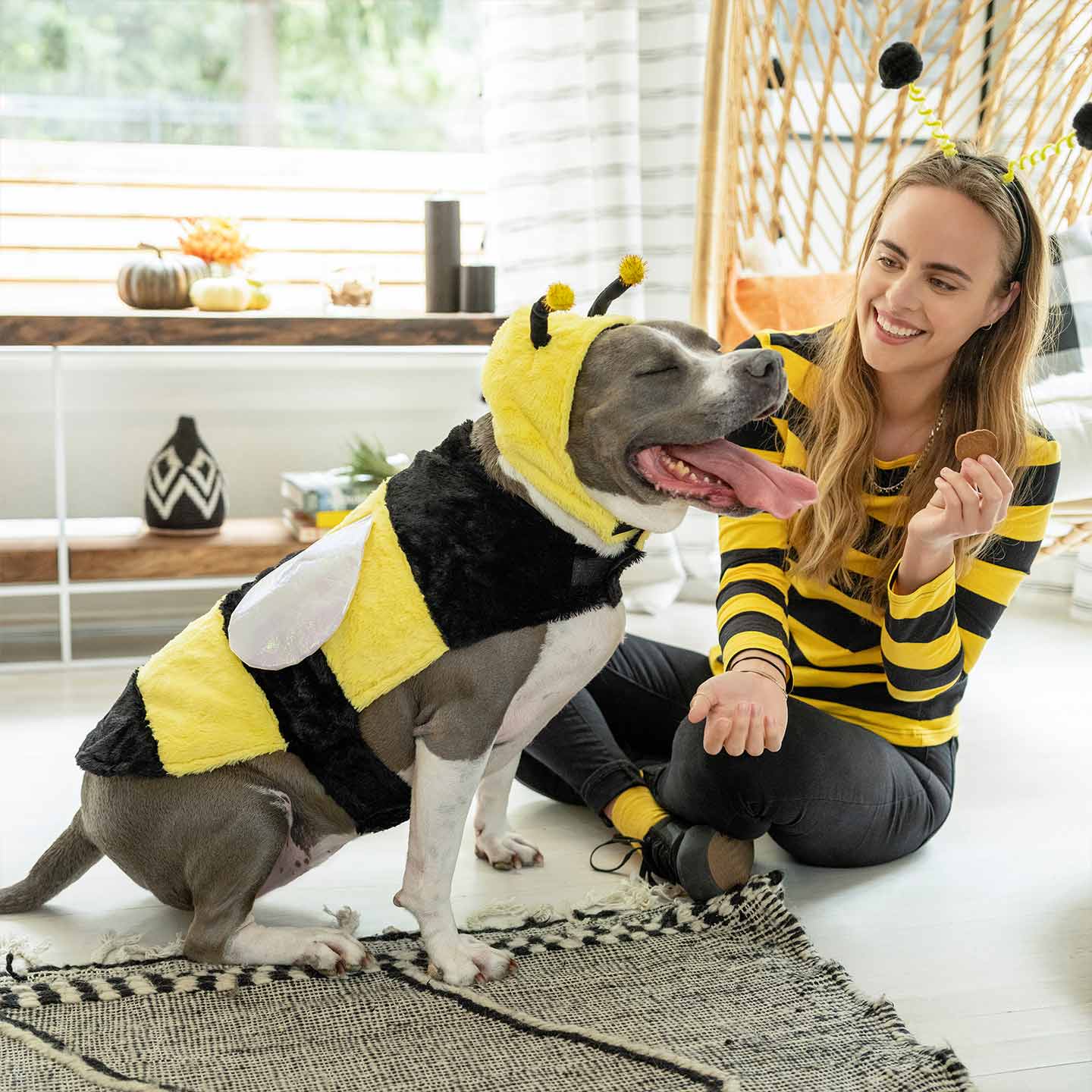 Halloween Costumes for Dog and Owner