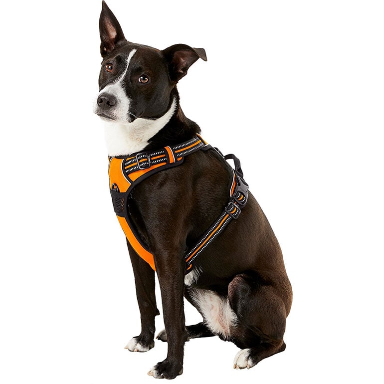 dog hiking harness