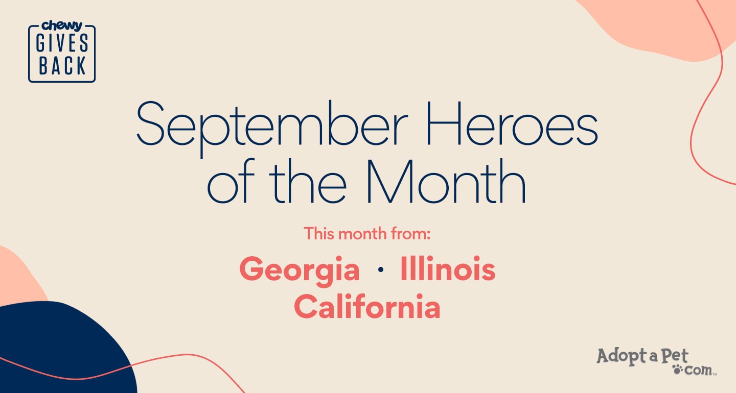 heroes of the month