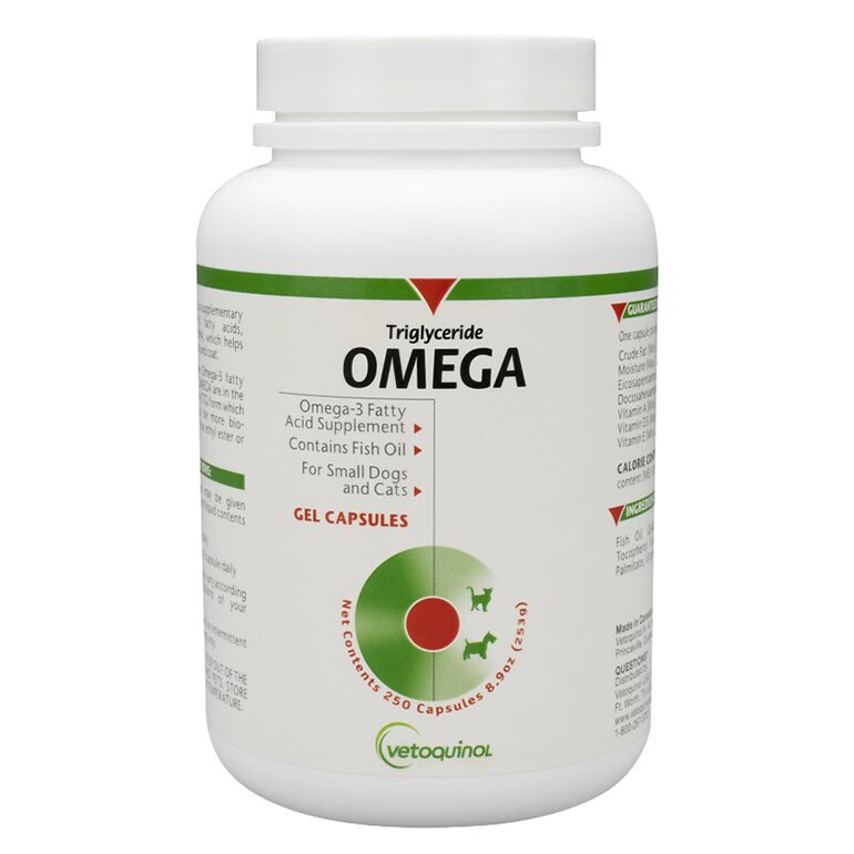 Does Your Cat Need a Multivitamin? BeChewy