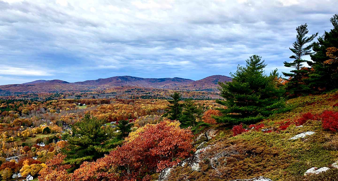 Where to Go Leaf Peeping With Your Dog This Fall | BeChewy