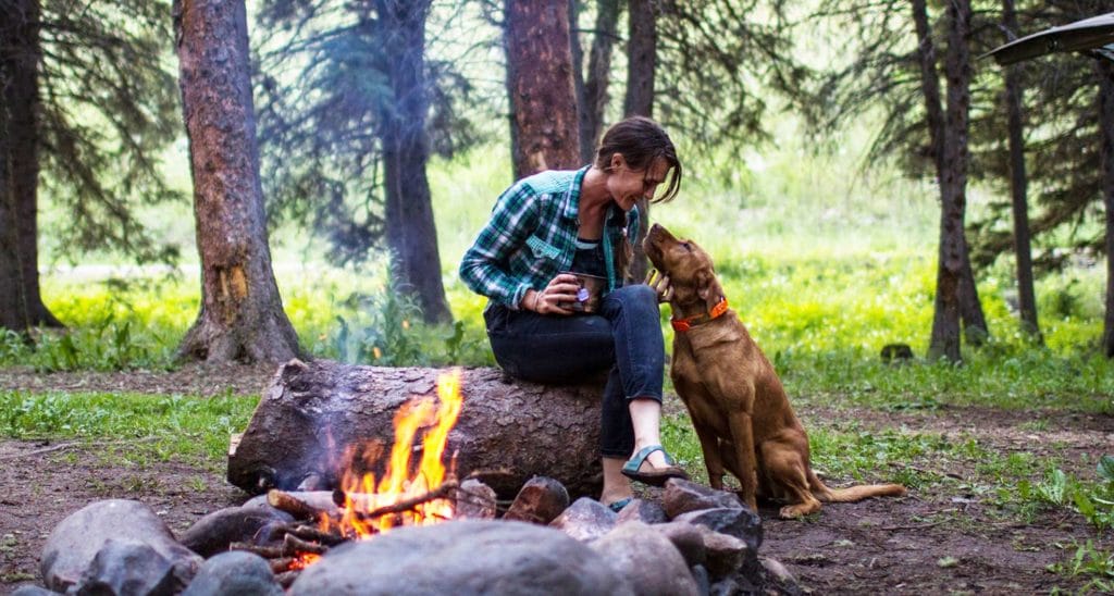 dog-friendly campgrounds