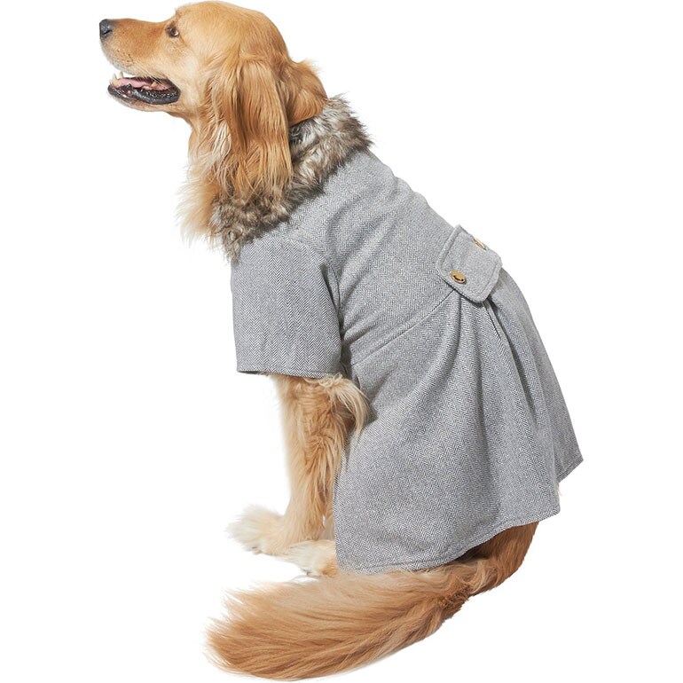 fall dog clothes