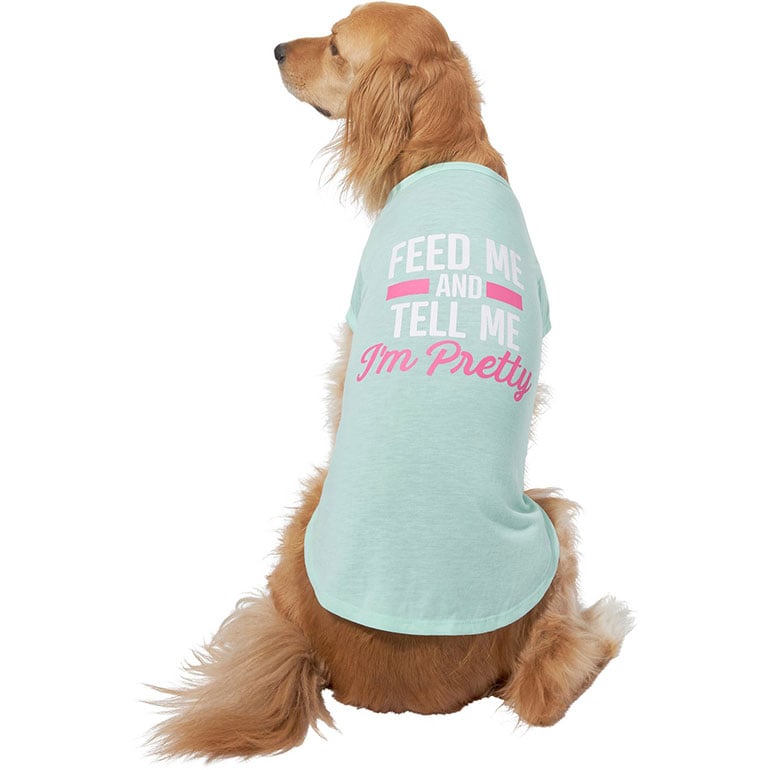 dog fall clothes