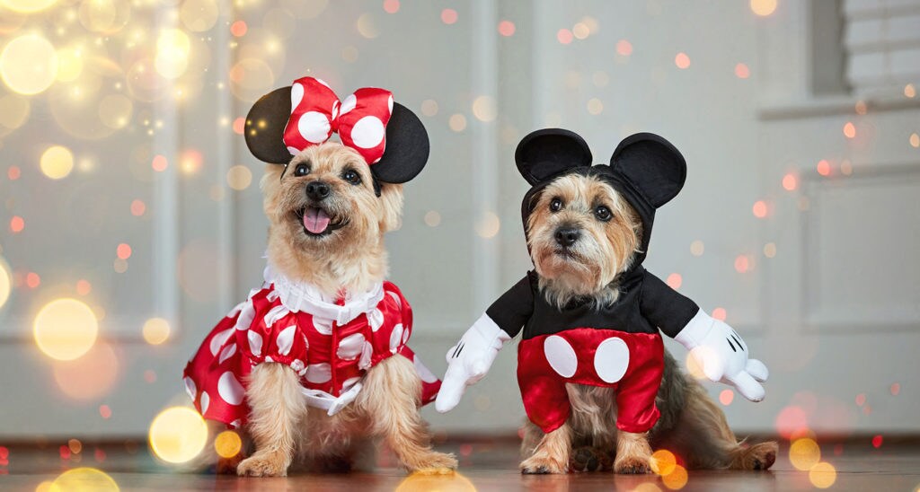 Disney dog costumes