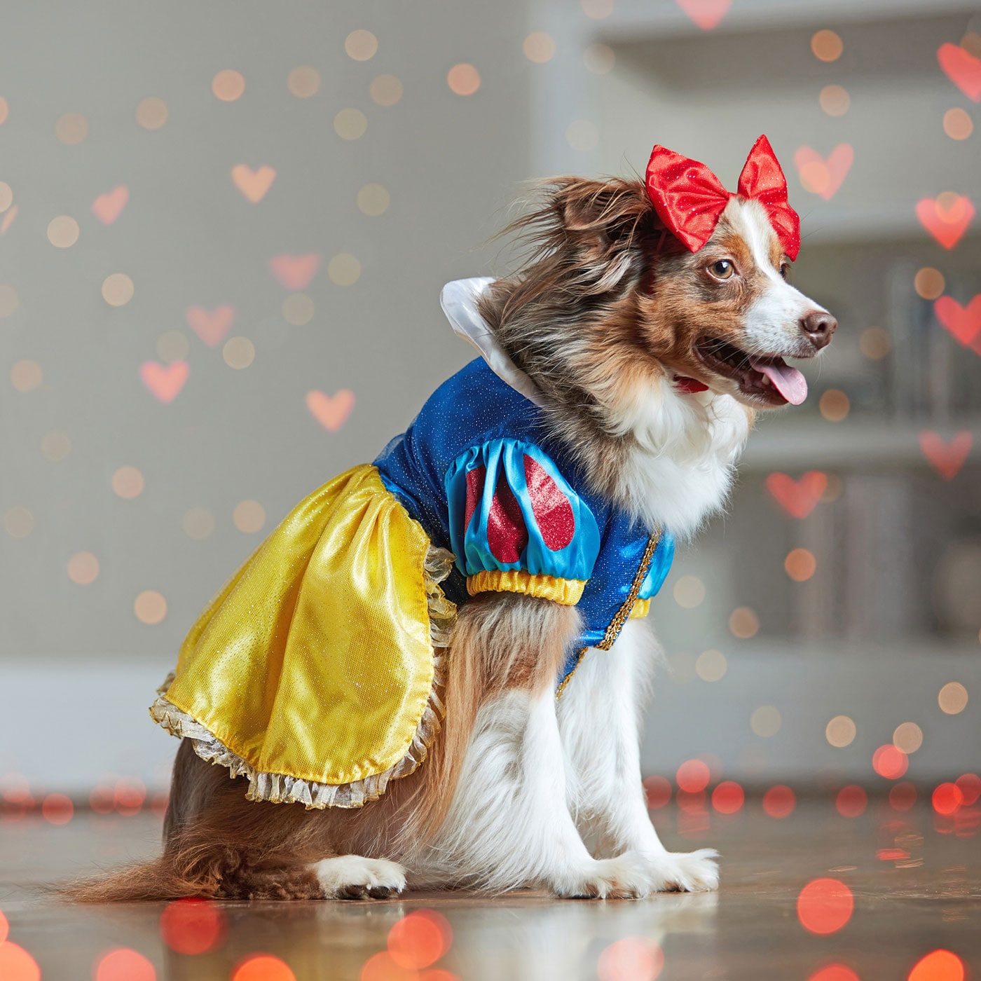 disney dog costumes - snow white dog costume