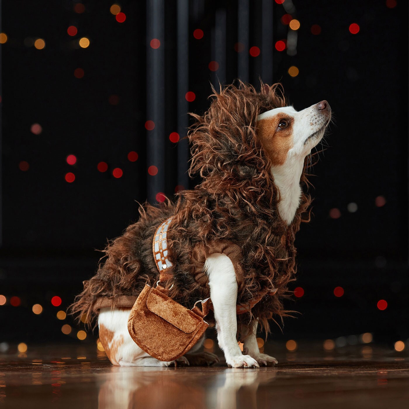 diesny dog costumes - chewbacca