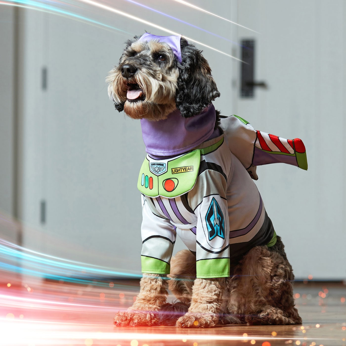 The Best Disney Dog Costumes for a Magical Halloween | BeChewy