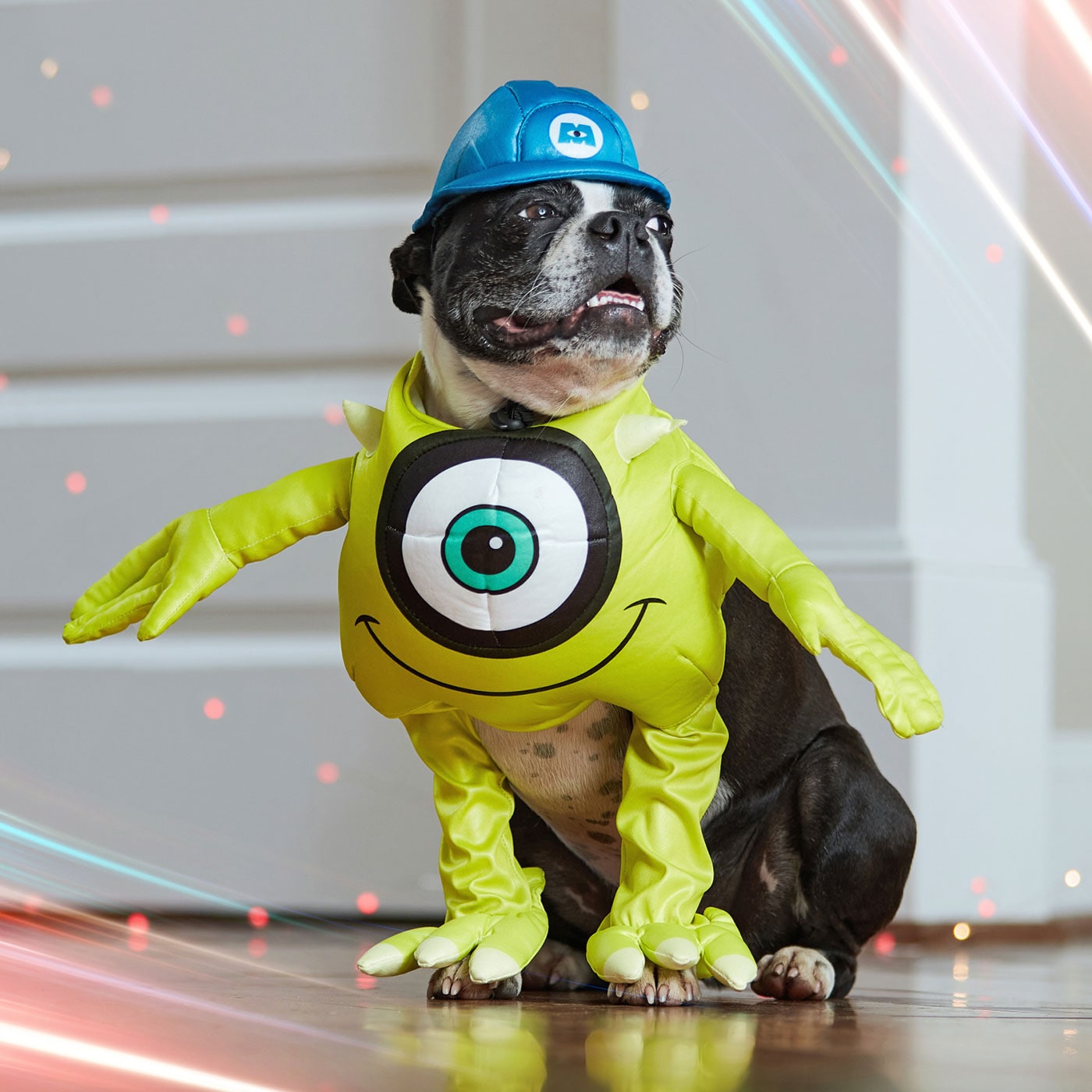 disney costume for dogs