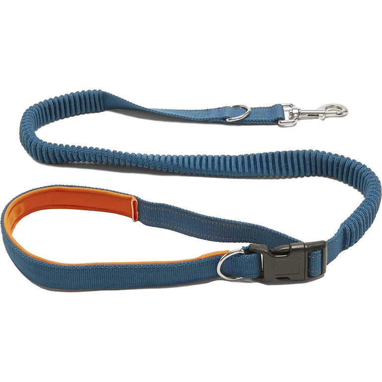 dog camping gear - dog bungee leash