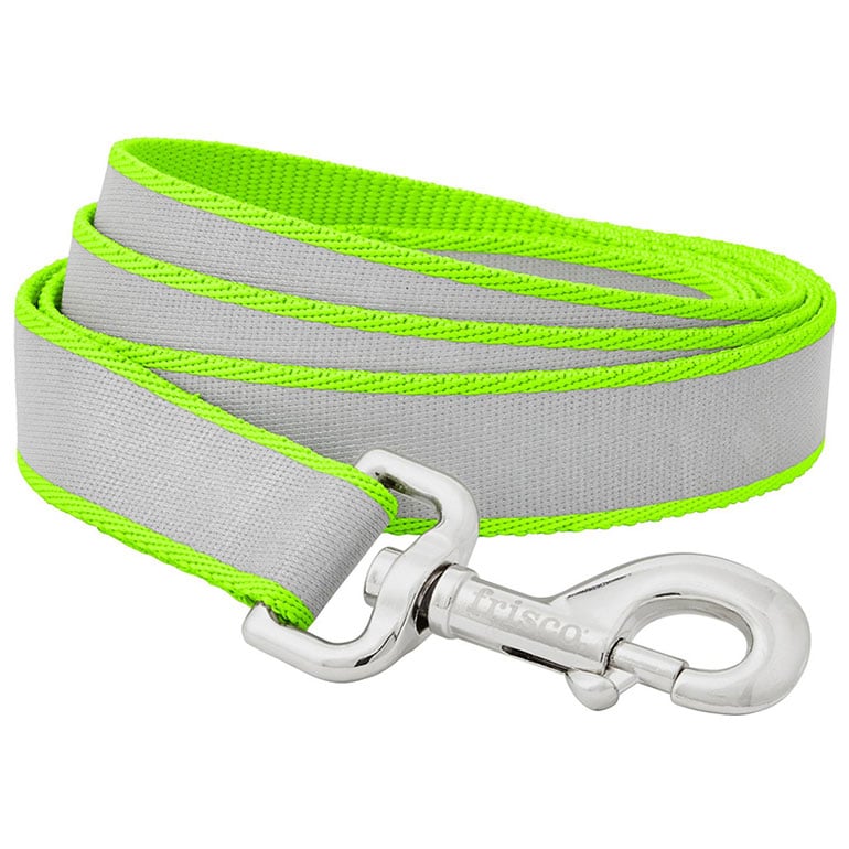 dog camping gear - reflective leash