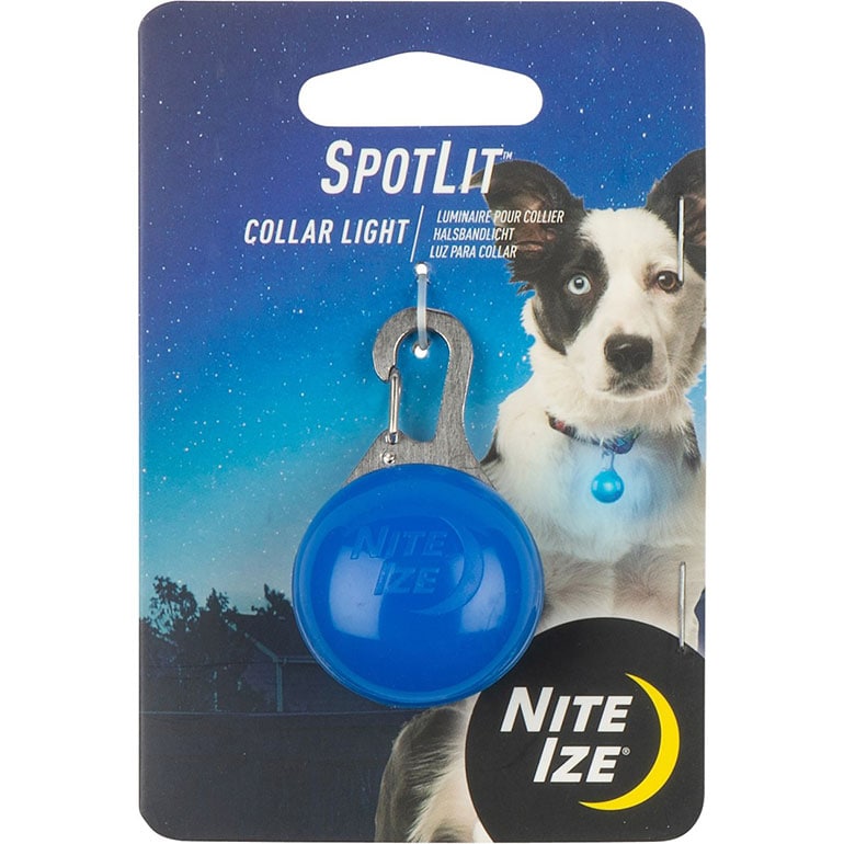dog camping supplies - night safety