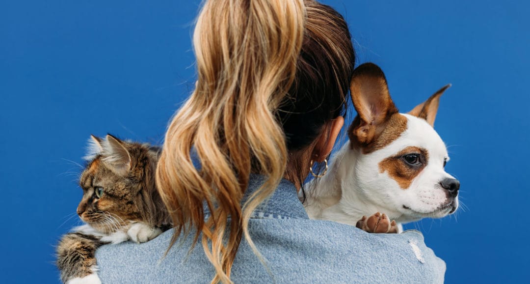 This “What Pet Should I Get?” Quiz Will Pick the Best Animal for You