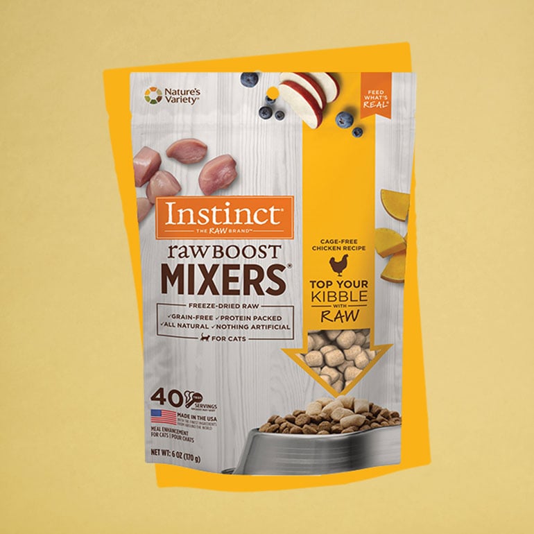 Buying Guide How to Pick the Best HighQuality Cat Food for Your Pet