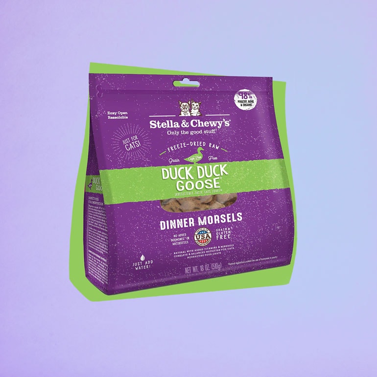 Buying Guide How to Pick the Best HighQuality Cat Food for Your Pet