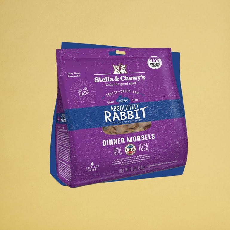 Buying Guide How to Pick the Best HighQuality Cat Food for Your Pet