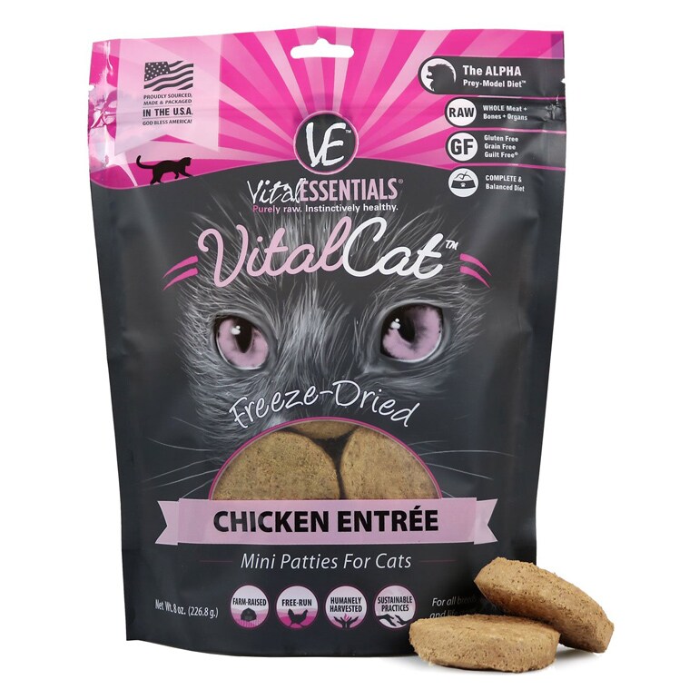 Buying Guide How to Pick the Best HighQuality Cat Food for Your Pet