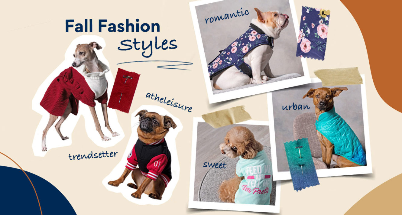 Top Five Winter Pet Fashion Looks for Posh Pets to Get Now BeChewy