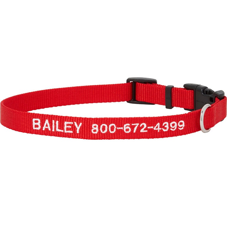 dog Christmas gifts - dog collar