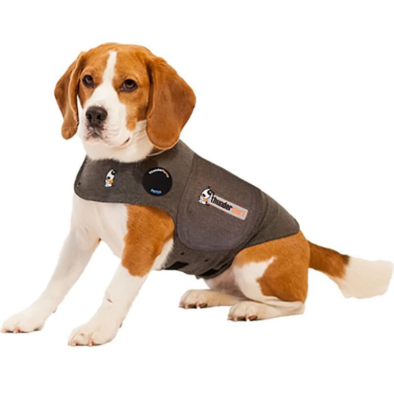 dog christmas gifts - thundershirt calming aid
