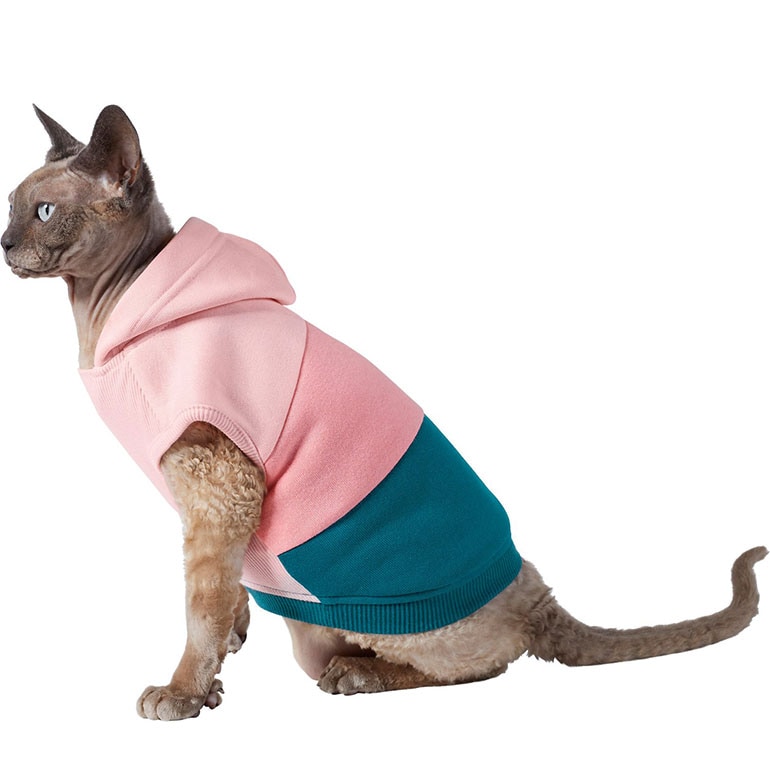 Christmas gifts for cats - sweater