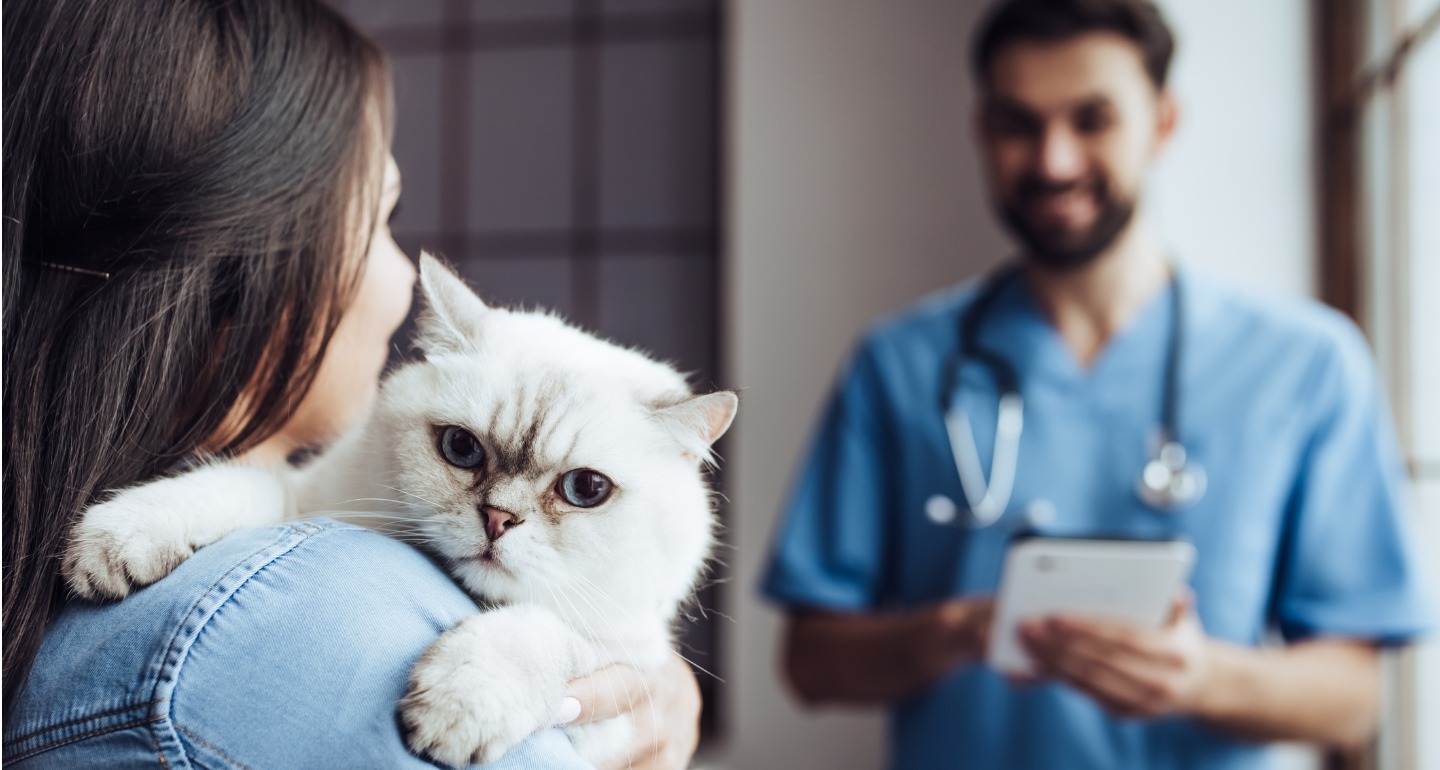 Mobile Vet Clinics Bring the Veterinarian to Your Cat - BeChewy | BeChewy
