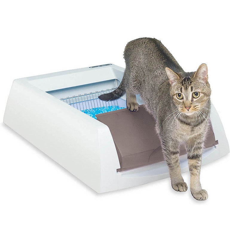 best cat litter box - ScoopFree Original Automatic Cat Litter Box in taupe