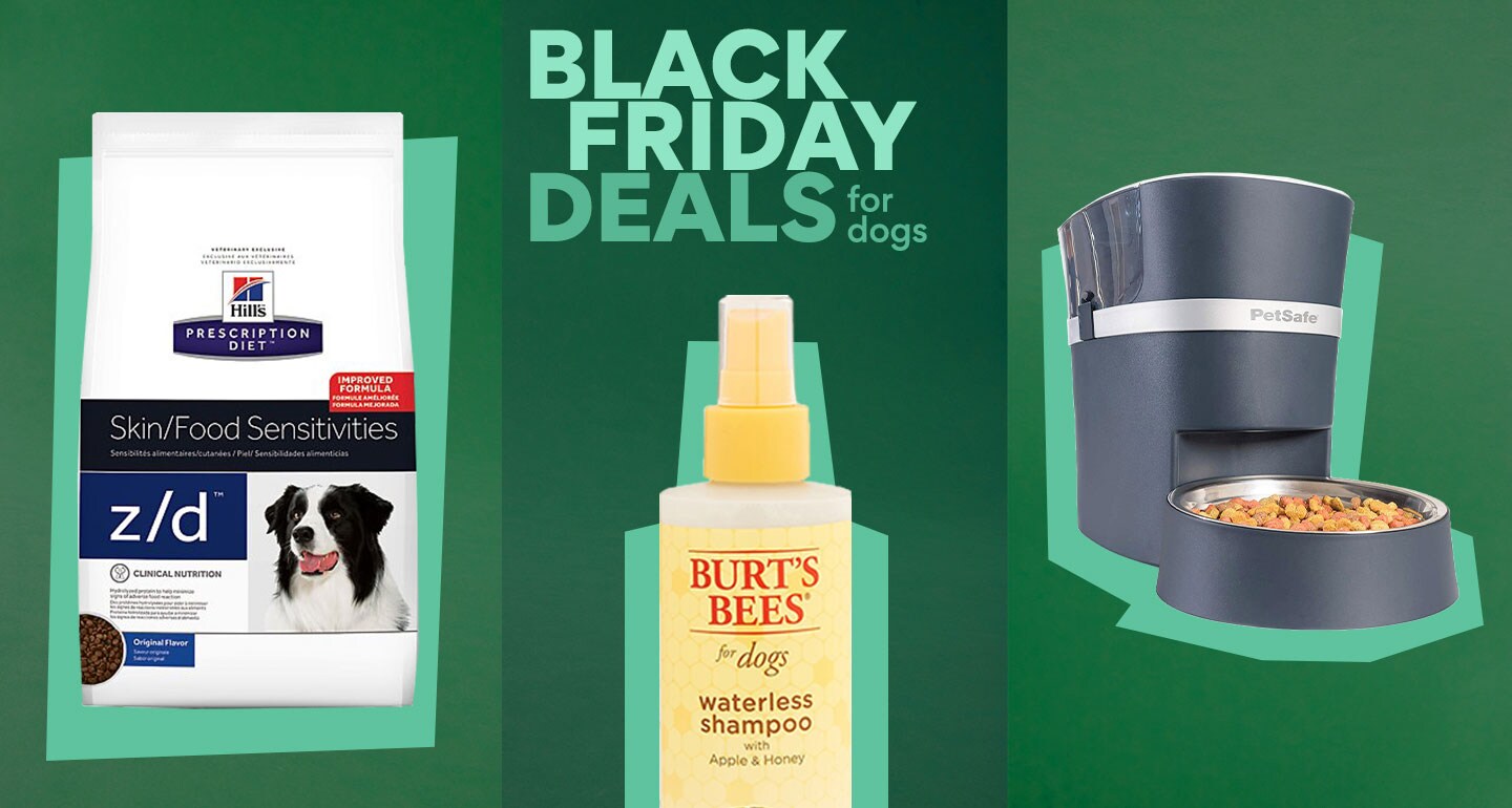 Chewy’s Best 2020 Black Friday & Cyber Monday Dog Deals BeChewy
