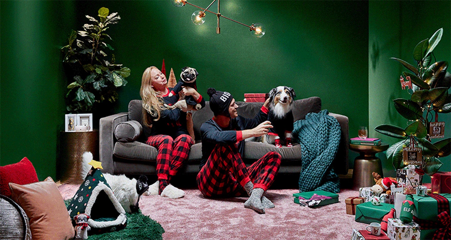 Holiday Dogs And Cats: Your Guide To Celebrating The Season With Pets ...