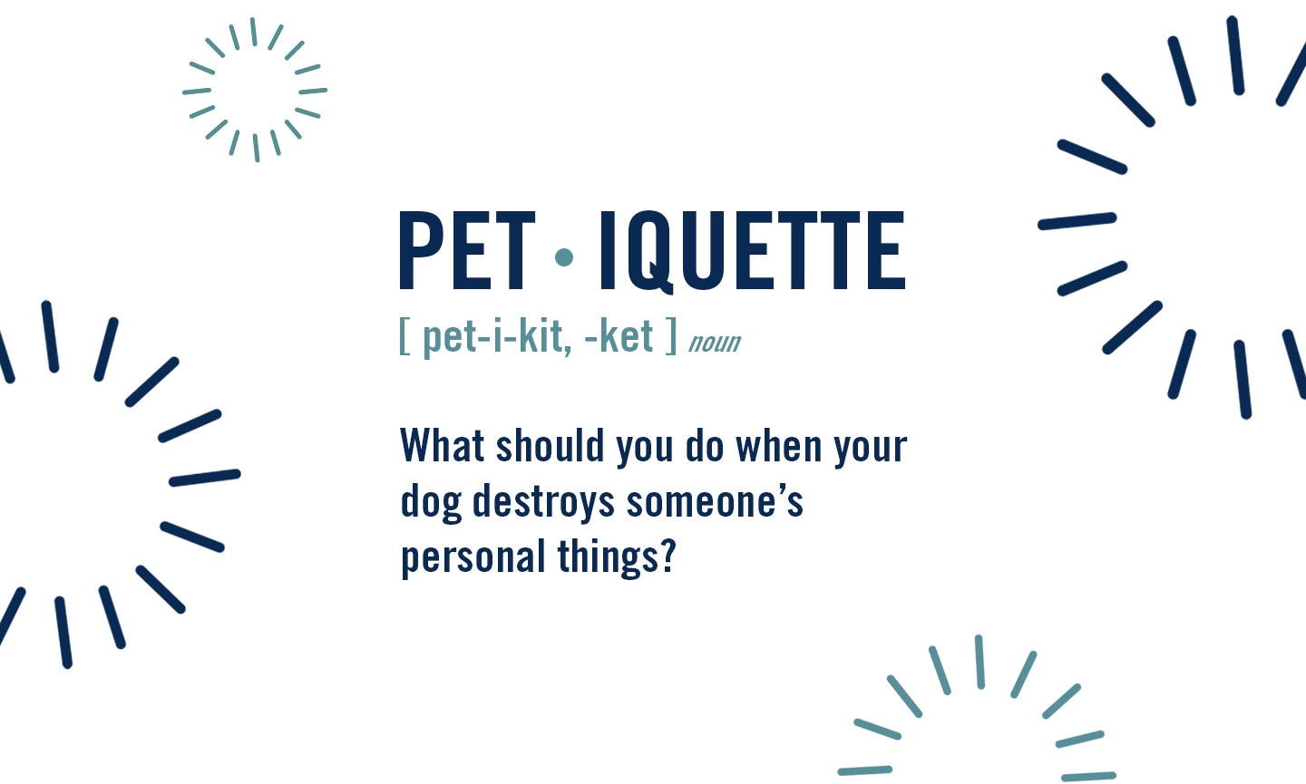 petiquette: what to do when your dog or cat destroys someone's things