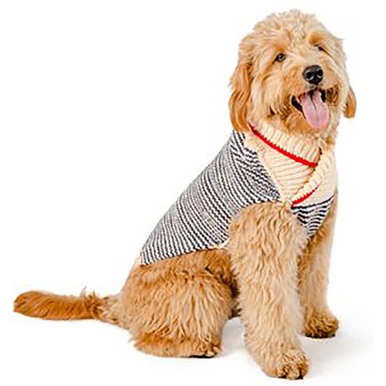 Chilly Dog Spencer Striped Dog & Cat Sweater