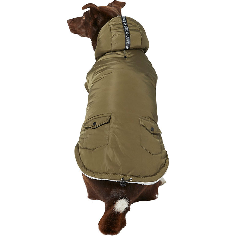 Ing Guide Best Dog Winter Clothes, Insulated Winter Dog Coats
