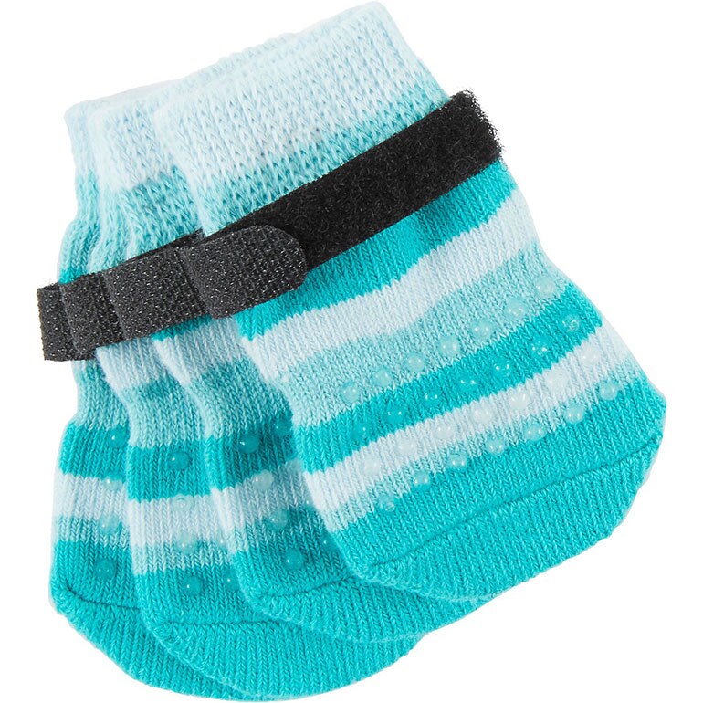 Buying Guide Best Dog Winter Clothes 2020/2021 BeChewy