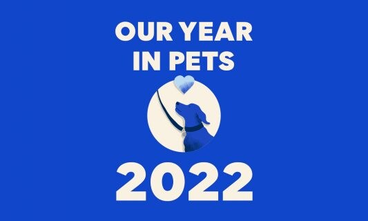 Our Year in Pets 2022