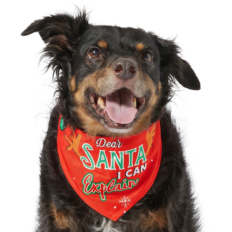 Frisco "Dear Santa, I Can Explain" Dog & Cat Bandana