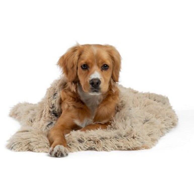 Best Friends by Sheri Throw Shag Dog & Cat Blanket