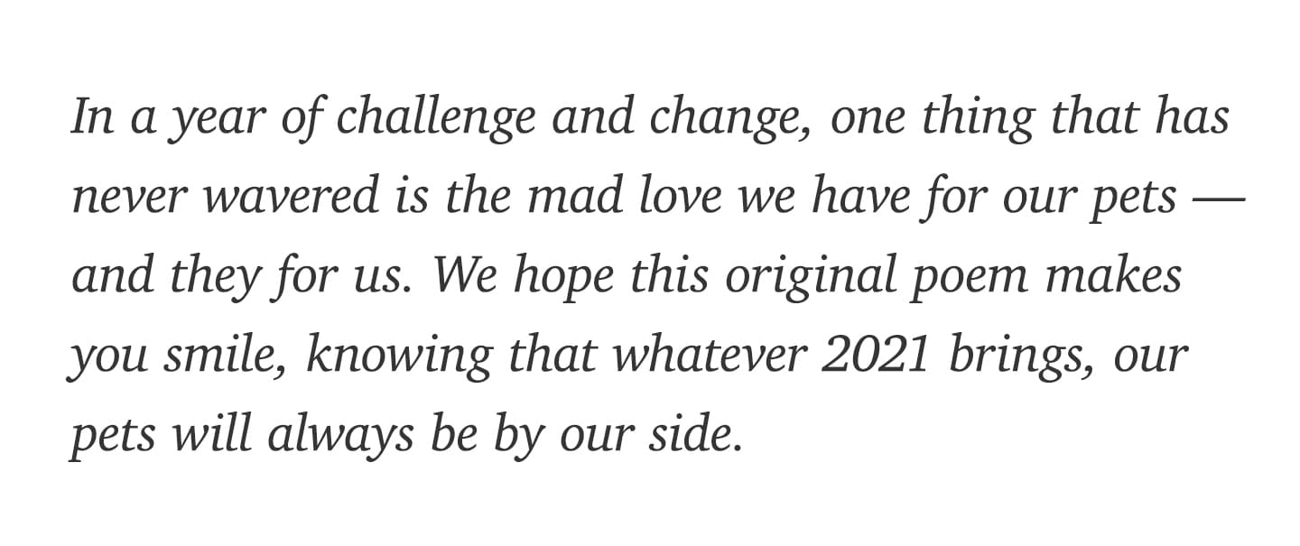 In a year of challenge and change, one thing that has never wavered is the mad love we have for our pets - and they for us. We hope this original poem makes you smile, knowing that whatever 2021 brings, our pets will always be by our side.