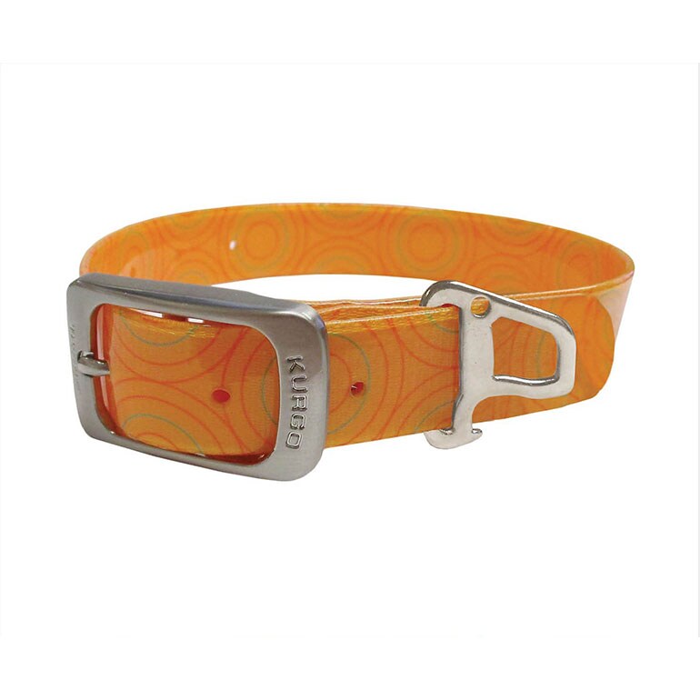 Buying Guide Choosing the Best Dog Collars for Every Pup BeChewy