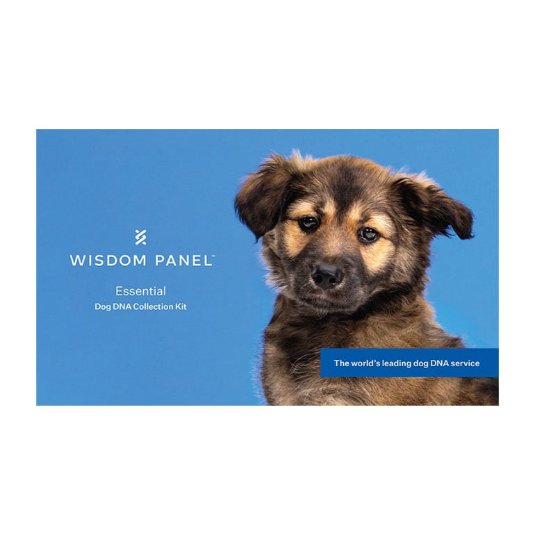 Wisdom Panel Essential Dog DNA Test