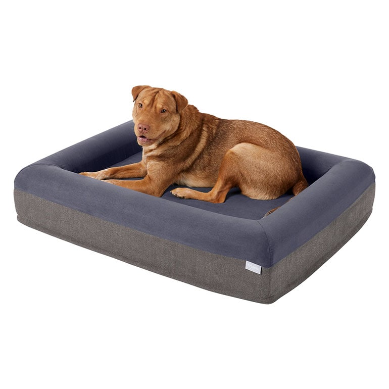 grey dog bed xl