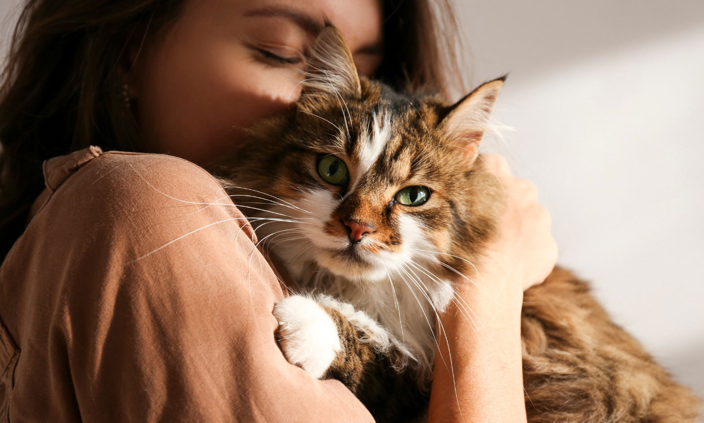Should You Give a Pet as a Gift? Ask Yourself These 6 Questions First