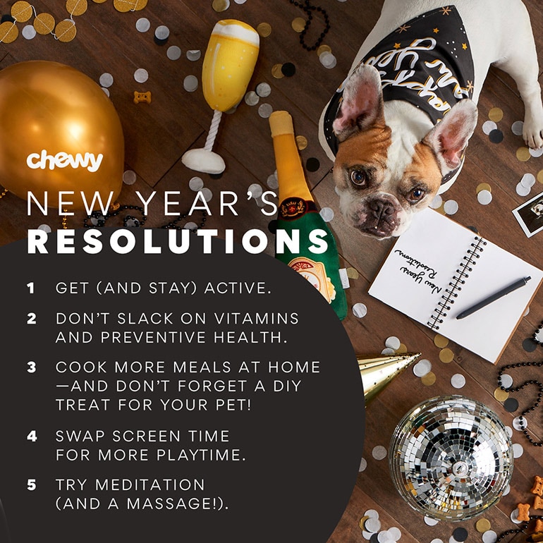 New Year, New Goals: 8 New Year's Resolutions for Your Pet - Vet in Fairfax  California