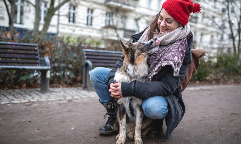 4 Ways to Make Winter Dog Walks <i>So</i> Much Better