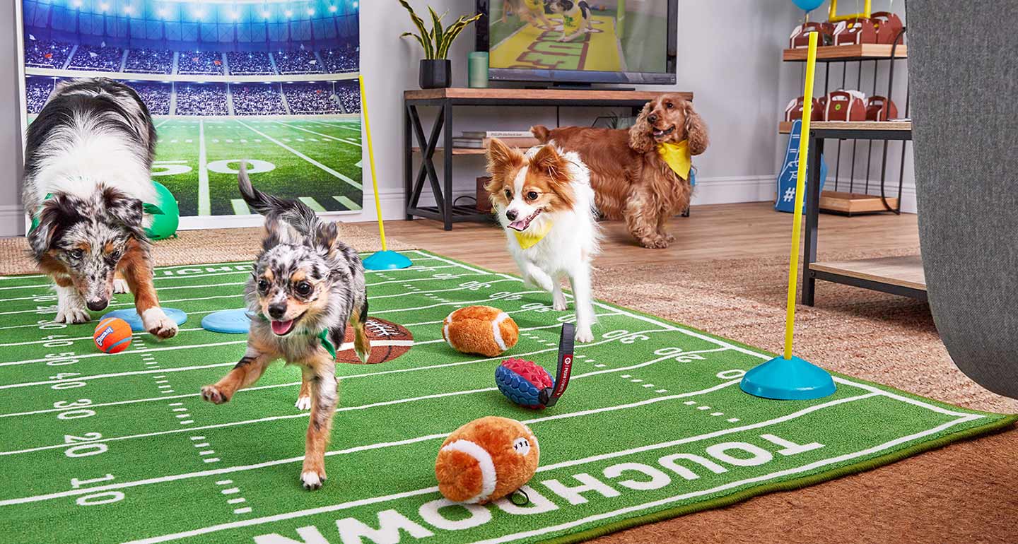 How to Throw the Ultimate Puppy Bowl Party BeChewy
