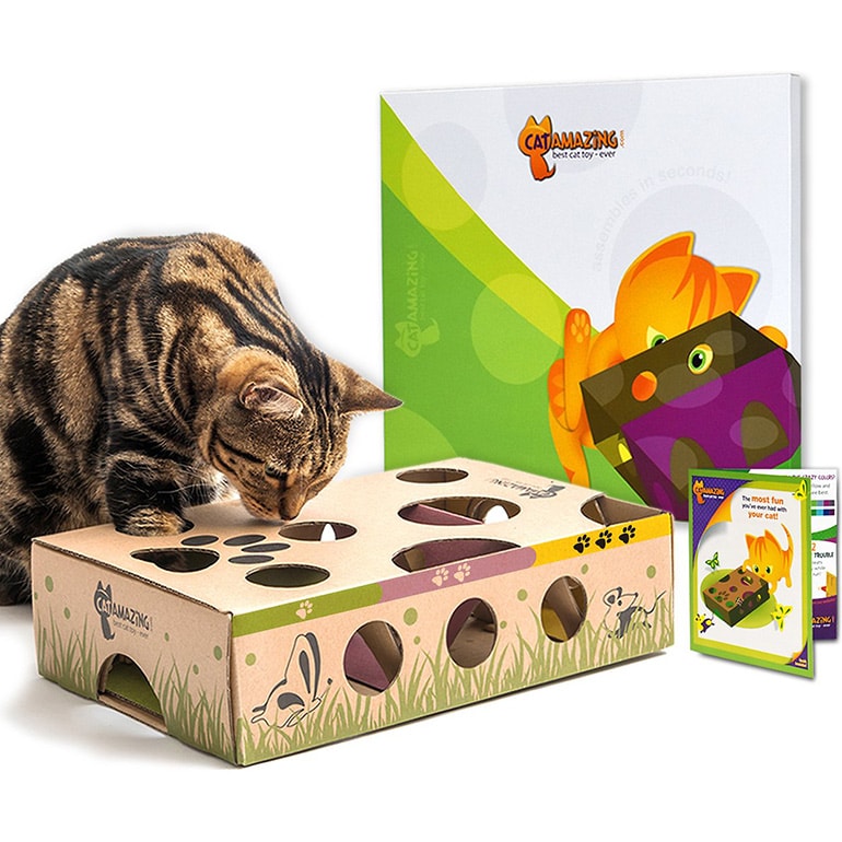 13 Cat Toys To Engage Your Kitty's Brain and Stave Off Boredom